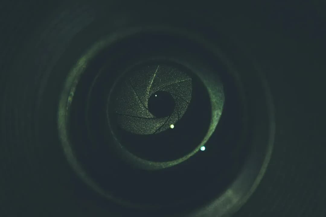 Jaki obiektyw do sesji w plenerze - wybierz najlepszy sprzęt do zdjęć